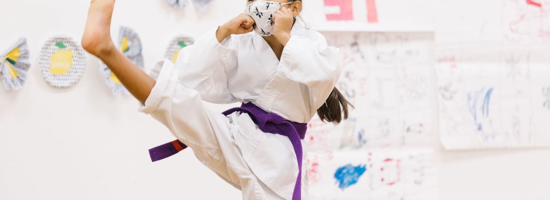 Fall Programs - Karate
